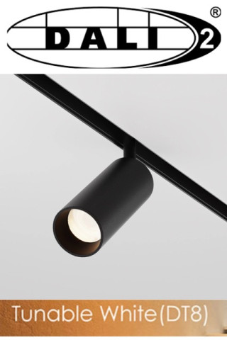 Zuma Line 10052 REFLEKTOR MAGNETYCZNY DALI 12W CCT DT8 CZARNY 2