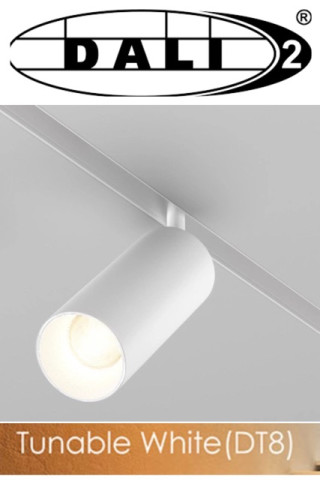 Zuma Line 10113 REFLEKTOR MAGNETYCZNY DALI 12W CCT DT8 BIAŁY 2