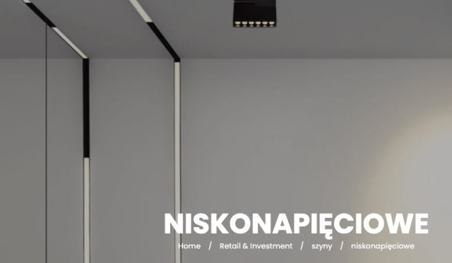 Zuma Line 10003 SZYNA MAGNETYCZNA PODTYNKOWA 48V 1M GK 9mm CZARNA