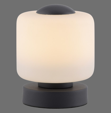 Zuma Line 4037-13 BOTA LAMPA STOŁOWA ANTRACYT