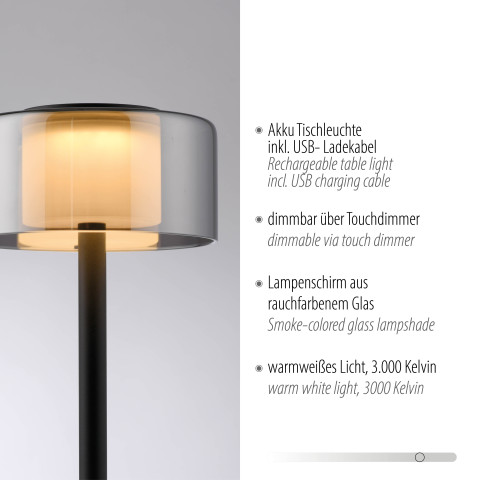Zuma Line 4111-18 RIKA LAMPA STOŁOWA CZARNY/SMOKY